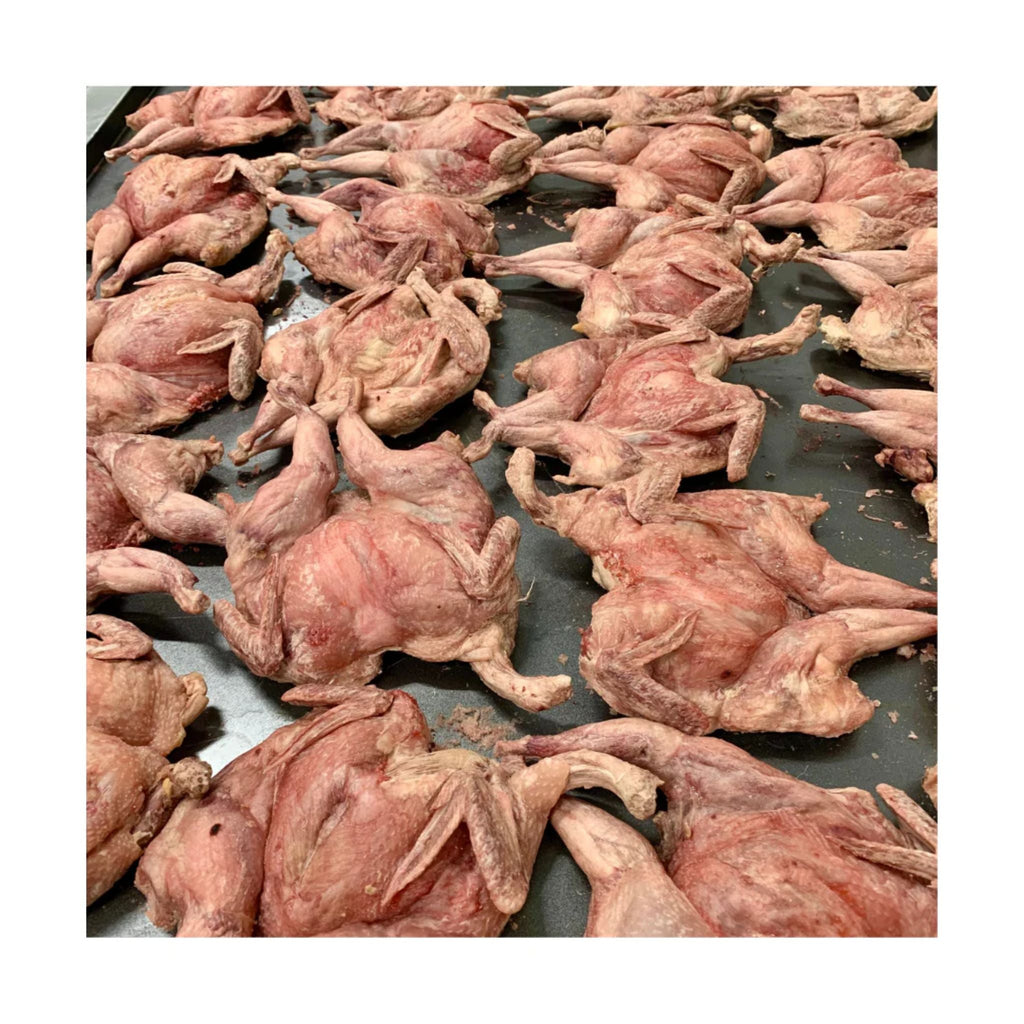 Freezy Paws Freeze Dried Whole Quail Pet Treats for Dogs & Cats