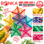 2506 Pk6 Color Vine Web
