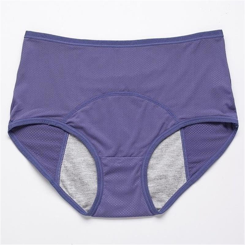 🎁New Year Sale 50% OFF💝New Upgrade High Waist Leak Proof Panties✨