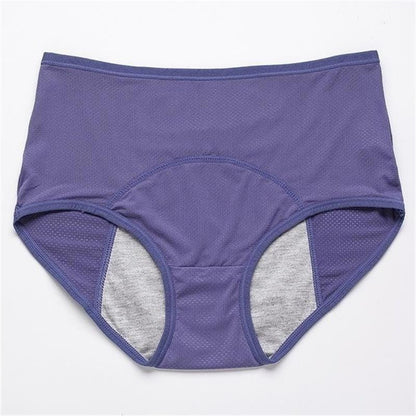 🎁New Year Sale 50% OFF💝New Upgrade High Waist Leak Proof Panties✨
