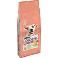 DOG CHOW Sensitive s lososom