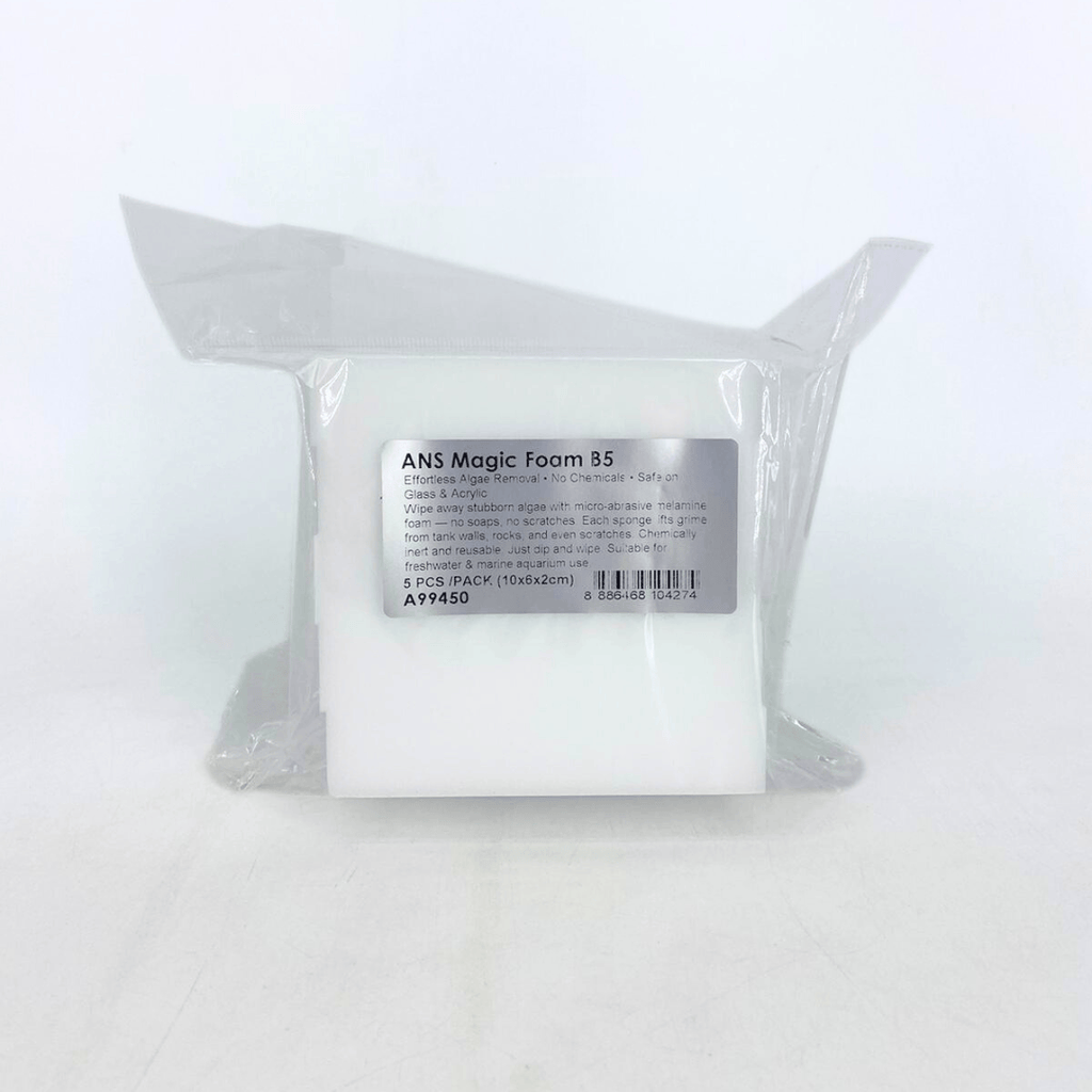 ANS Magic Foam B5 (10x6x2cm)