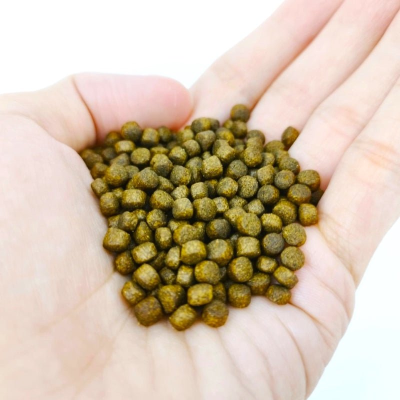 ANS Sinking Jumbo Pellets (S/M/L)