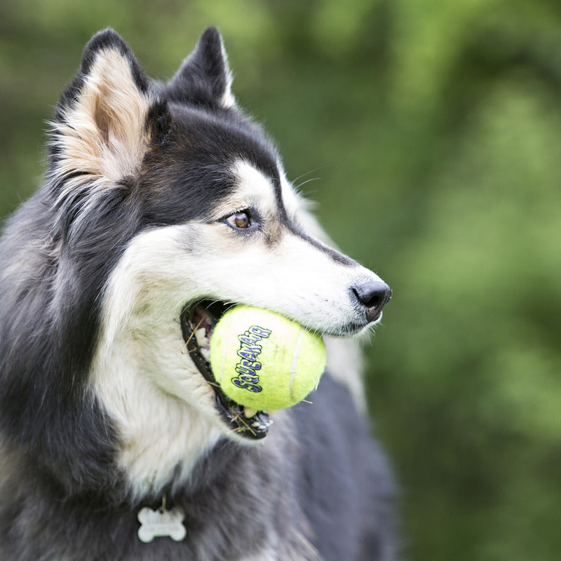 KONG Dog Toys SqueakAir Ball with Rope