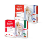 Antinol RAPID Soft Gel Capsule (Joint Supplement for Cats)