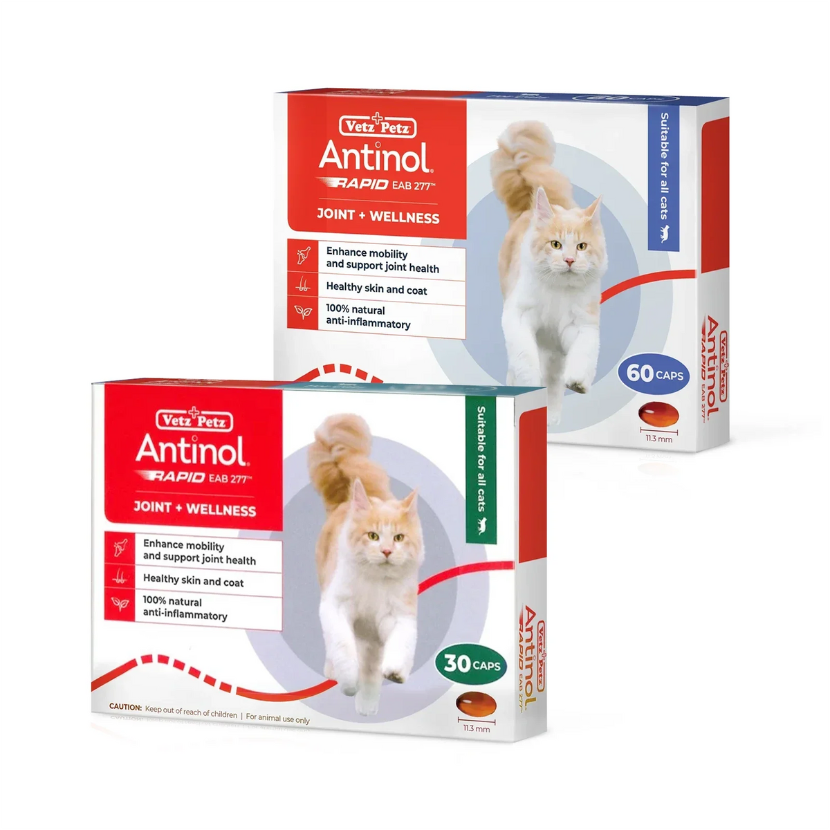 Antinol RAPID Soft Gel Capsule (Joint Supplement for Cats)