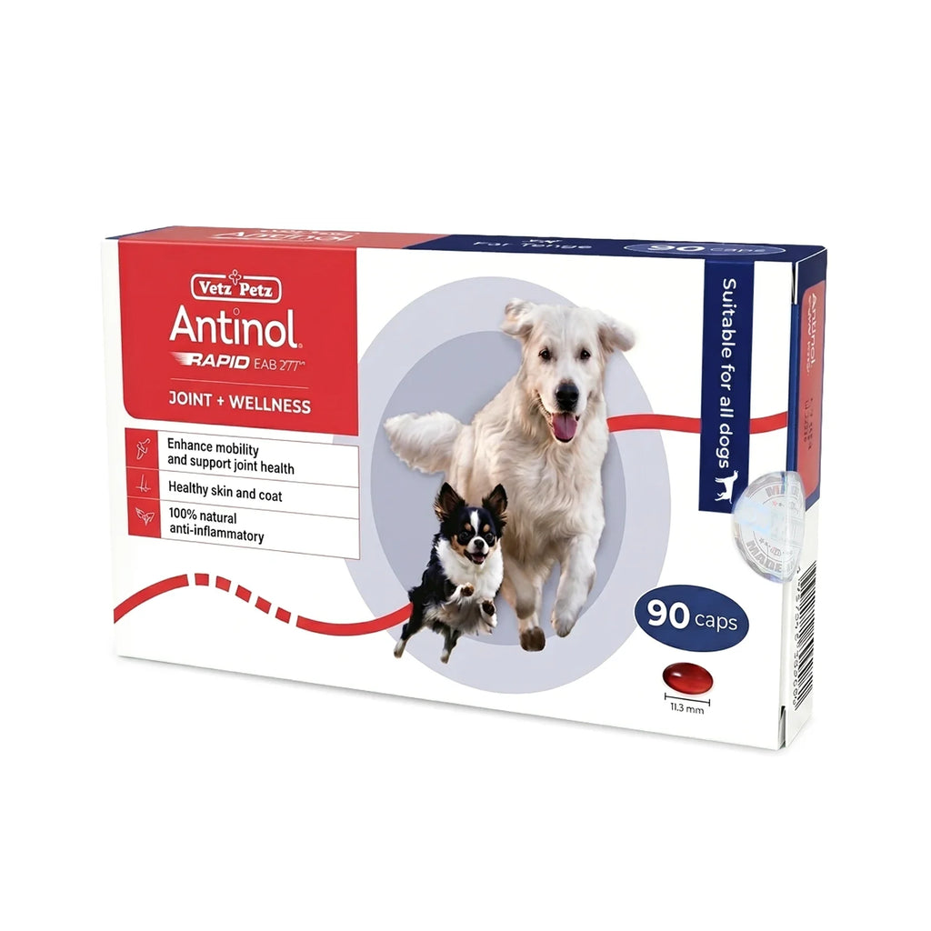Antinol RAPID Soft Gel Capsule (Joint Supplement for Dogs)