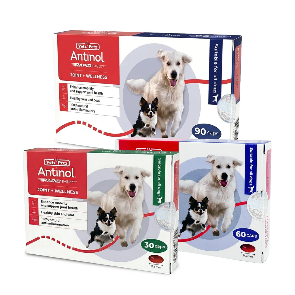 Antinol RAPID Soft Gel Capsule (Joint Supplement for Dogs)