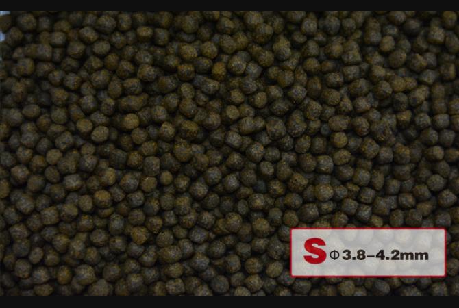 AquaMaster Koi Colour Enhancer (1kg/5kg) with natto probiotics