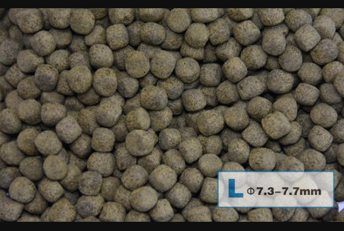 AquaMaster Koi Growth (1kg/5kg) with natto probiotics