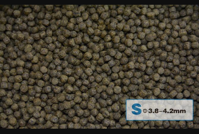 AquaMaster Koi Growth (1kg/5kg) with natto probiotics