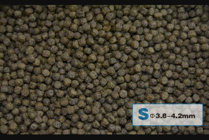 AquaMaster Koi Growth (1kg/5kg) with natto probiotics