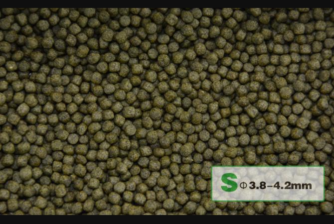 AquaMaster Koi Staple (1kg/5kg) with natto probiotics