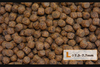 AquaMaster Koi Wheat Germ (1kg/5kg) with natto probiotics