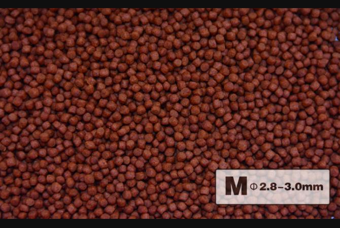 AquaMaster Premium FlowerHorn Pellet 200g (with natto probiotics)