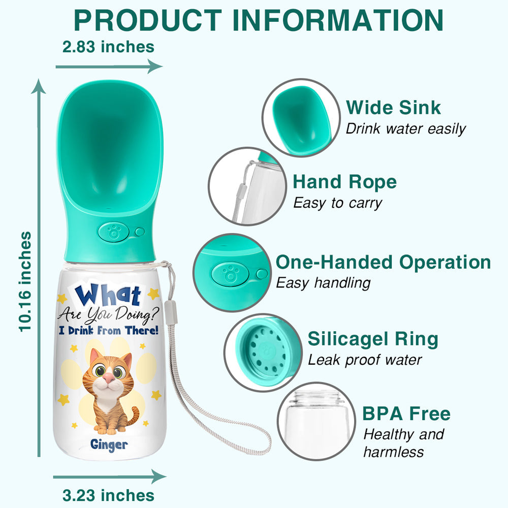 We Drink From There Ver Cat - Personalized Pet Water Bottle With Drinking Feeder