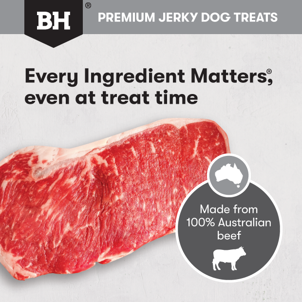 Black Hawk Dog Treats Beef Jerky Sticks