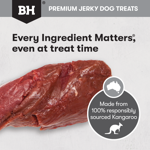 Black Hawk Dog Treats Kangaroo Jerky Straps