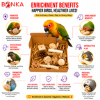 2028 Natural Foraging Bonka Box