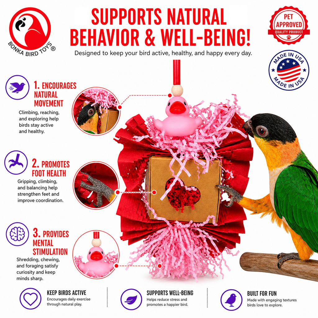 1004 Love Duck