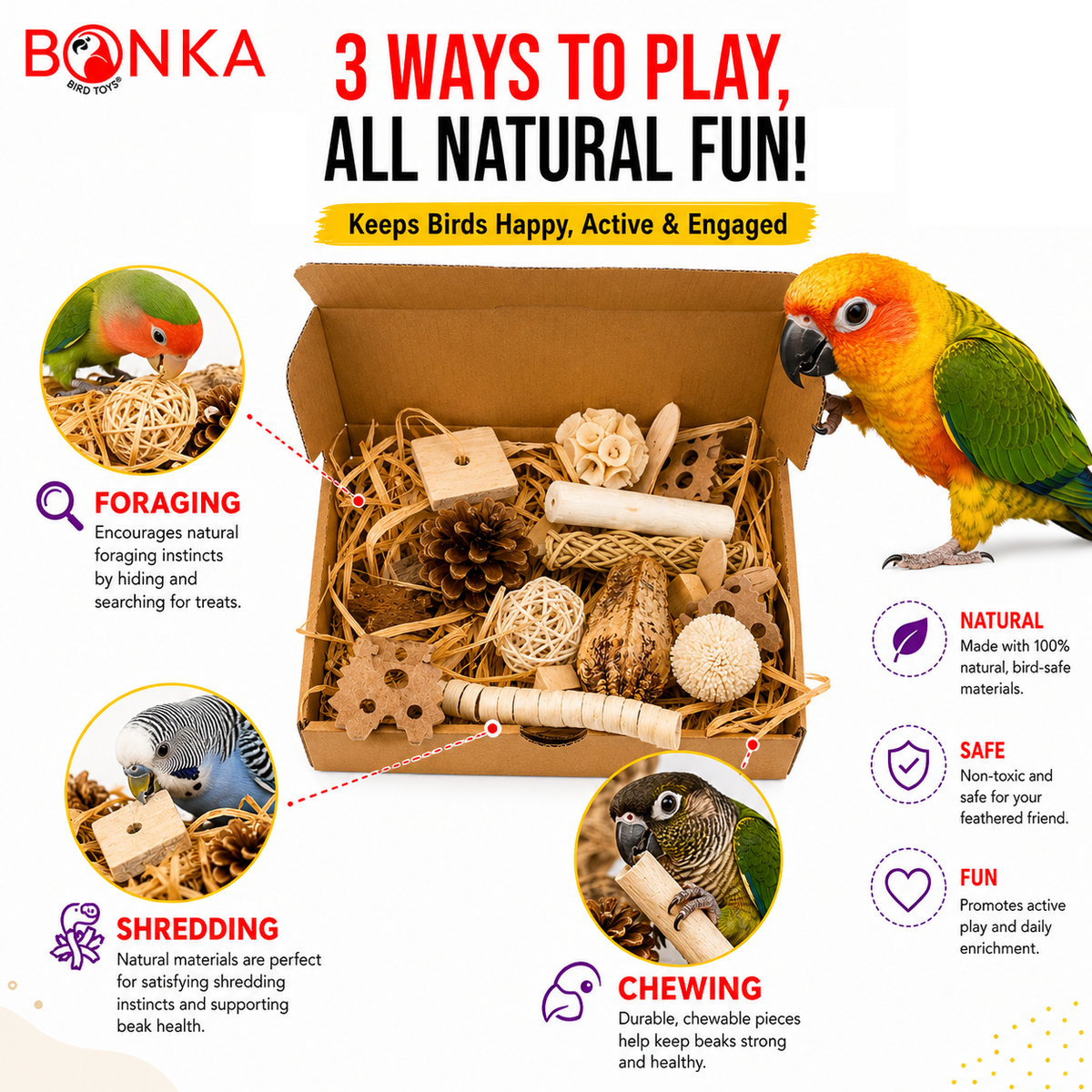 2028 Natural Foraging Bonka Box