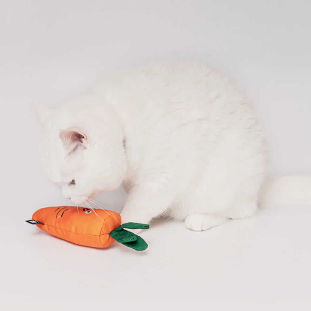 Bite Me - Carrot Catnip Cat Toy