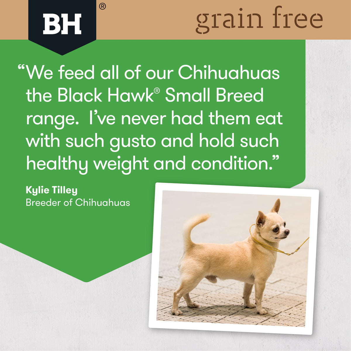 Black Hawk Dry Dog Food Grain Free Adult Small Breed Chicken