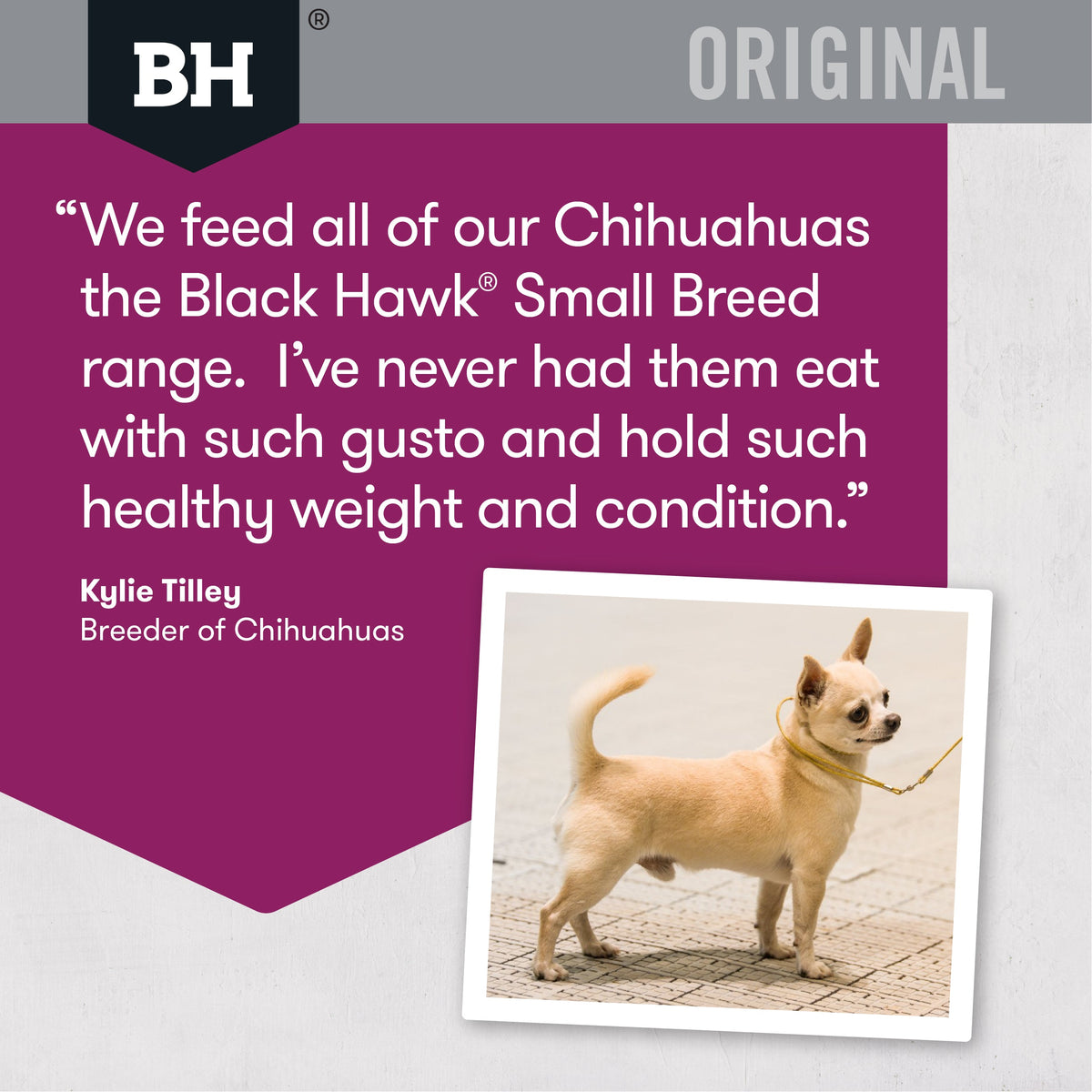 Black Hawk Dry Dog Food Original Adult Small Breed Lamb & Rice