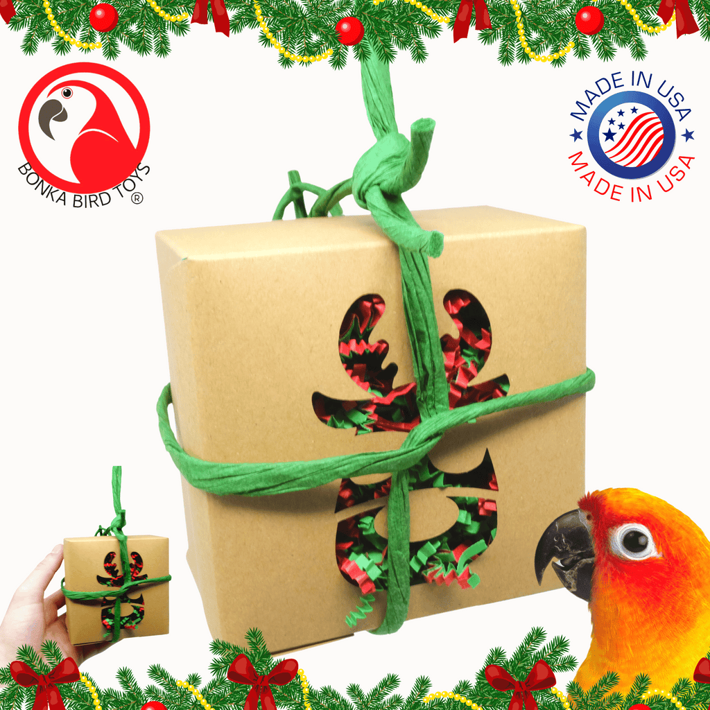 2985 Natural Christmas Box