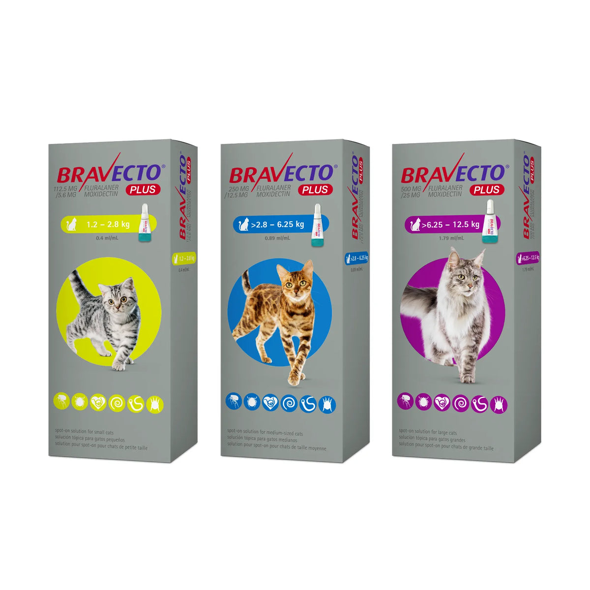Bravecto Plus Spot-on For Cats