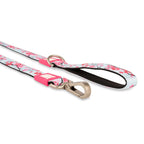 Max & Molly Dog Leash