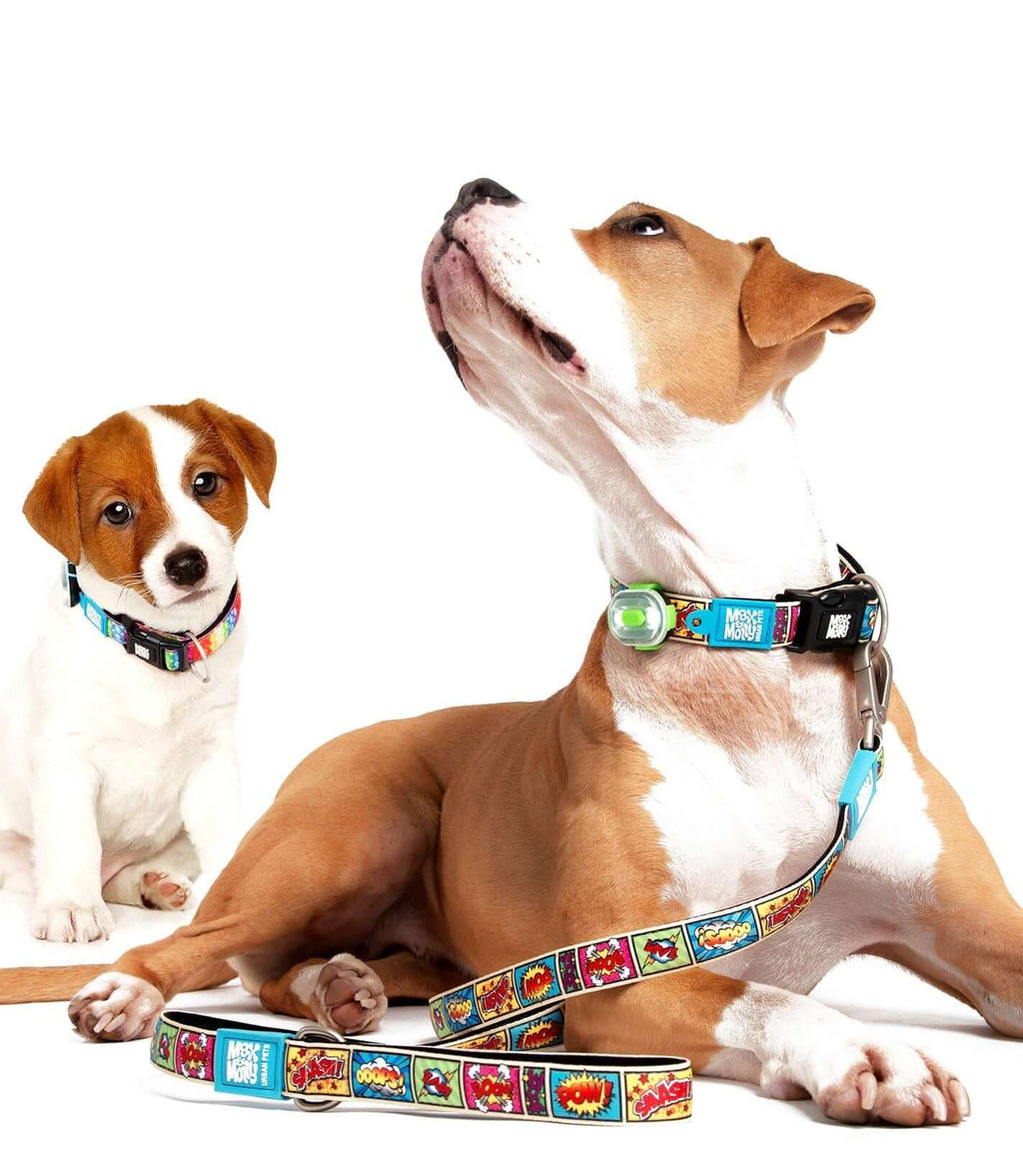 Max & Molly Dog Leash