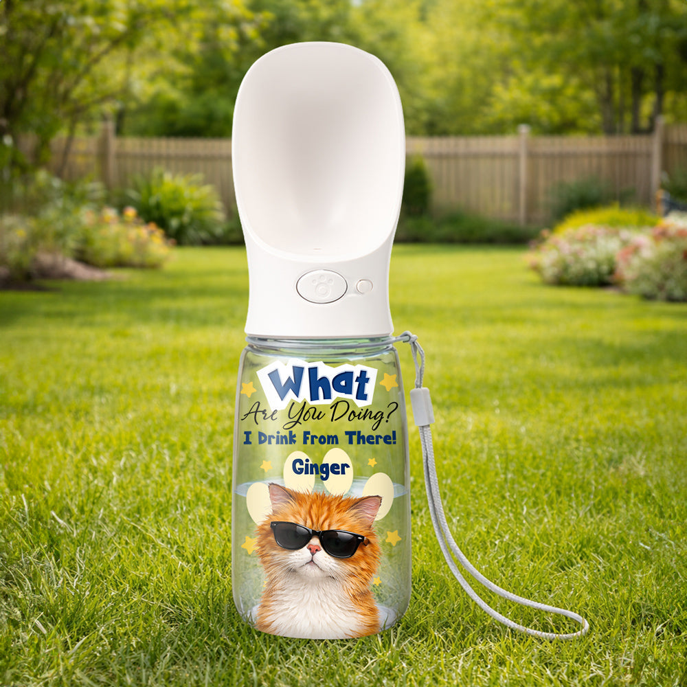 We Drink From There Ver Cat Photo - Personalized Pet Water Bottle With Drinking Feeder