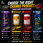 CZ Aqua Channa Super (YELLOW) 50g