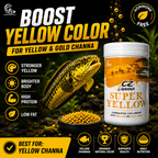 CZ Aqua Channa Super (YELLOW) 50g