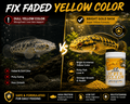 CZ Aqua Channa Super (YELLOW) 50g