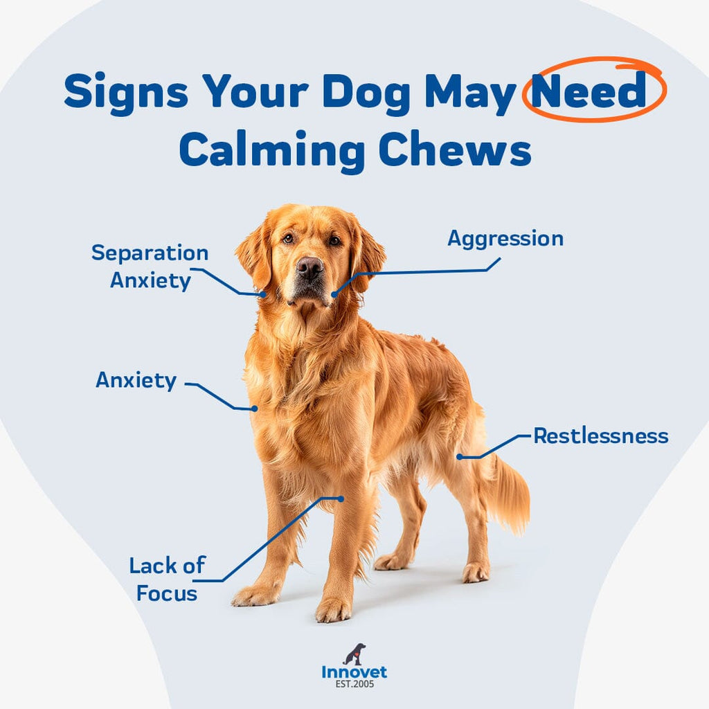 Advanced Calming Chews