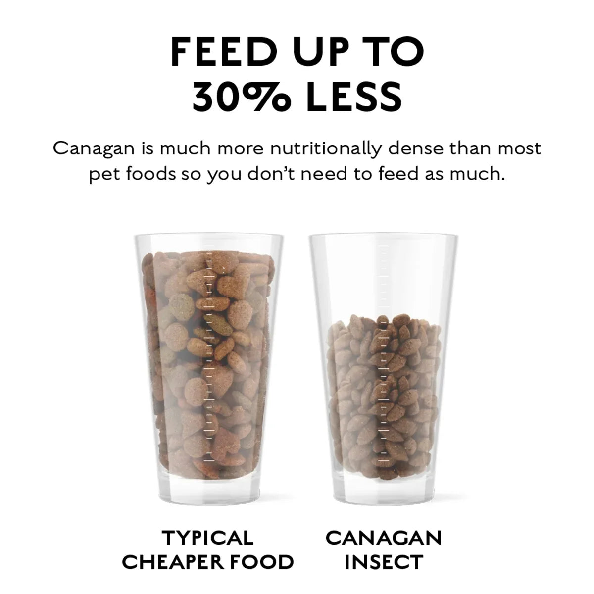 Canagan Insect Protein for Puppies & Adult Dog Food