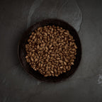 Canagan Insect Protein for Puppies & Adult Dog Food