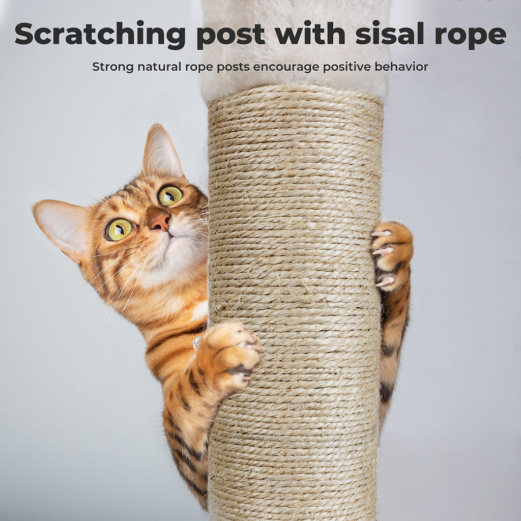 Floor to Ceiling Cat Tree 230-275cm