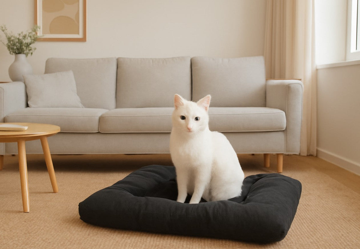 Cat Cushion - Soft & Soothing Cat Bed