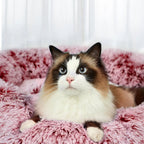 Donut Cat Bed with Removable Cover - Pink & Charcoal