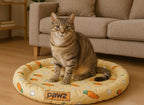 Cat Cooling Mat