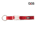 D.GS Dog Gone Smart Comet LED Safety Dog Collar