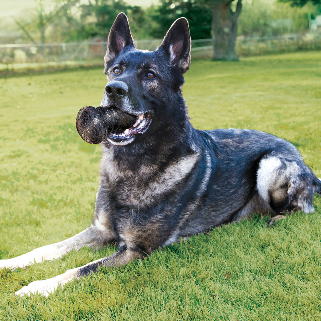 KONG Dog Toys DuraMax Ball