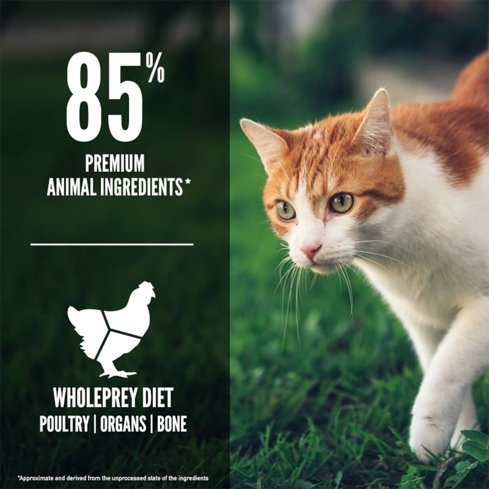 ORIJEN Fit & Trim Biologically Appropriate Dry Cat Food