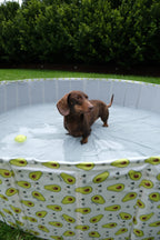 Pet Portable Outdoor Swimming Pool and Bath Tub