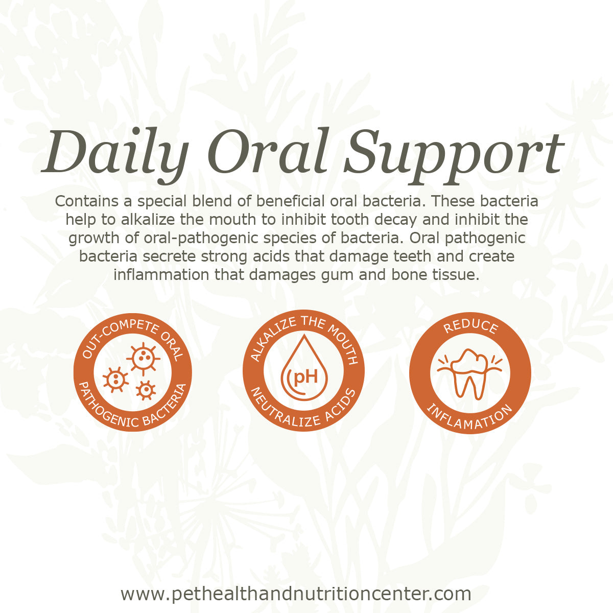 Natural Tooth Paste for Dogs and Cats