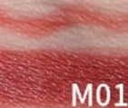Lipstick and Lip Linear Pen