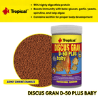 Tropical Discus Gran D-50 Plus Baby (high color and growth)